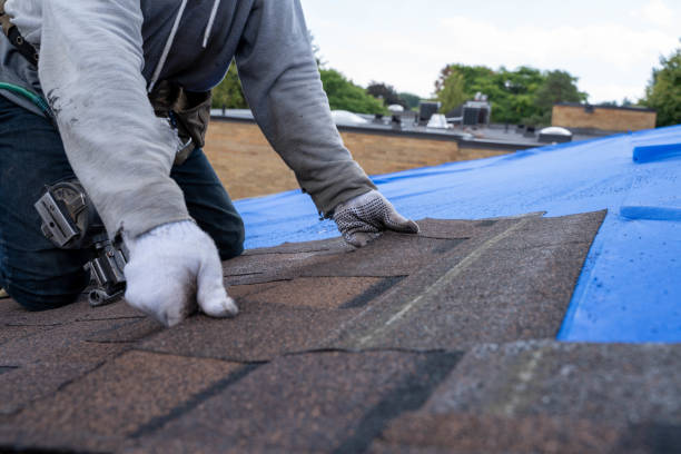 Roof Repair Estimates in Rigby, ID