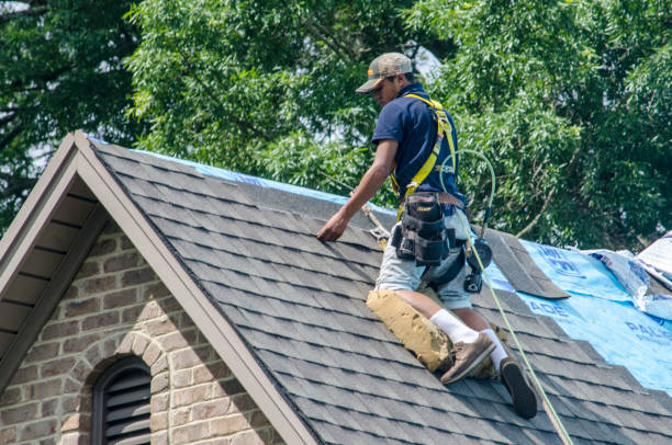 Roof Waterproofing Services in Rigby, ID